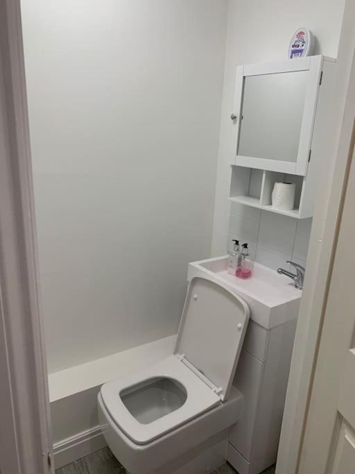 Beautiful 5Bedroom Hse-Contractor/Family/Corporate Dartford Dış mekan fotoğraf